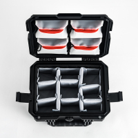 DSC_6167副本800x800