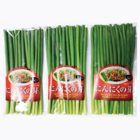 新建项目-2024-02-26T100032.452