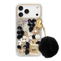 IP17PM-IP17PM-RS-KS1026-H1-2