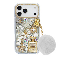 IP17PM-IP17PM-RS-KS1026-H2-2