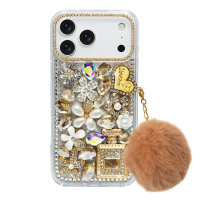 IP17PM-IP17PM-RS-KS1026-H5-2