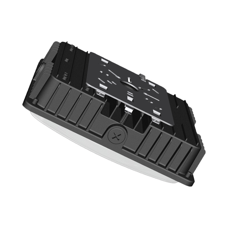 R1101