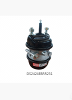 DS2424EBRR231