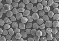 M22-36-GYD电镜照片