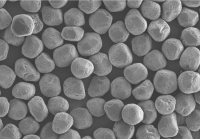 M22-36GYD电镜照片