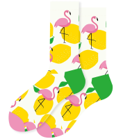 d57c23cf4adb35fb7ecaa10ff1fb66c