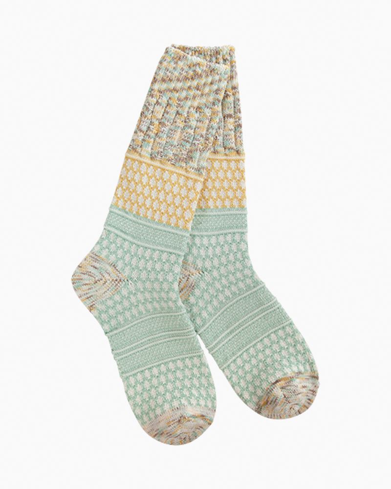 001151_1000603723_NoColor