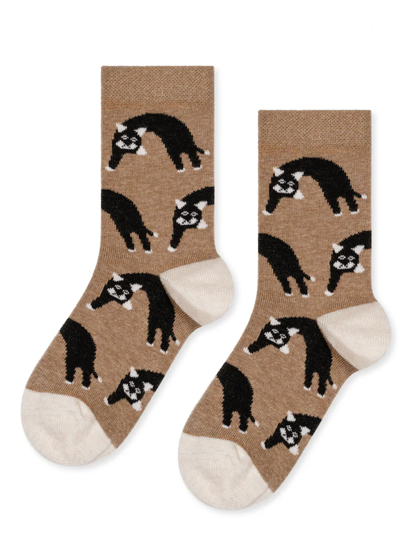 微信图片_20250409101632