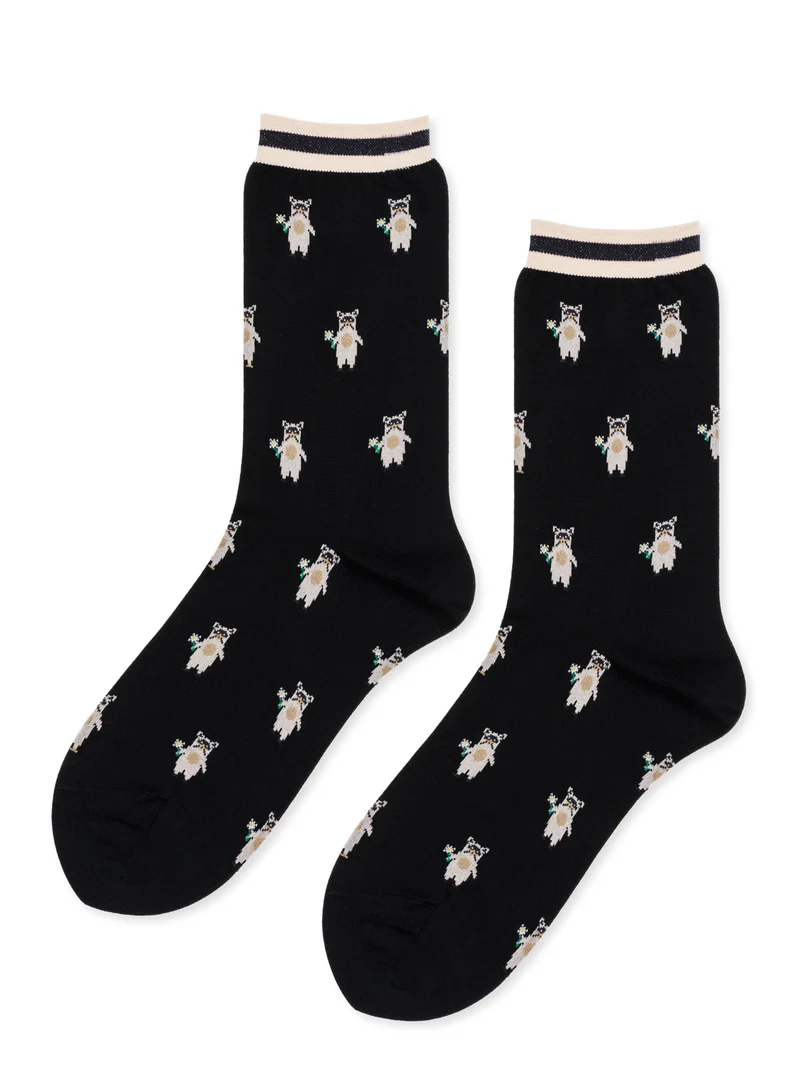 24688489e7294fbee82c6ae569a4595