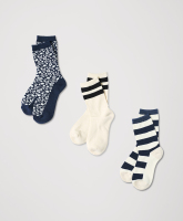 3-wsp-nsp-laydown-1-1766526150_thumb