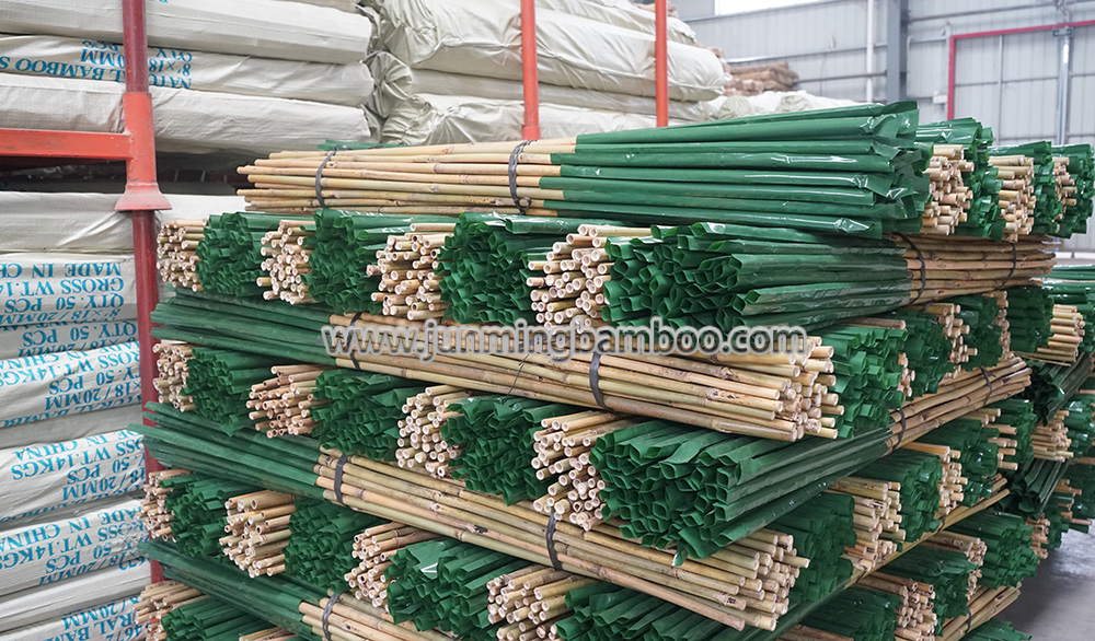 Tonkin Natural Bamboo Pole with 50cm Green Plastic Coated  120cm*8/10mm~300cm*30/35mm-Huaiji Junming Gardening Supply Ltd.