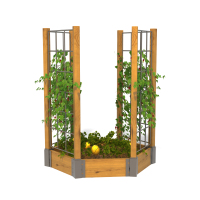 HW1-S254农场系列-正六边形立体组合-4