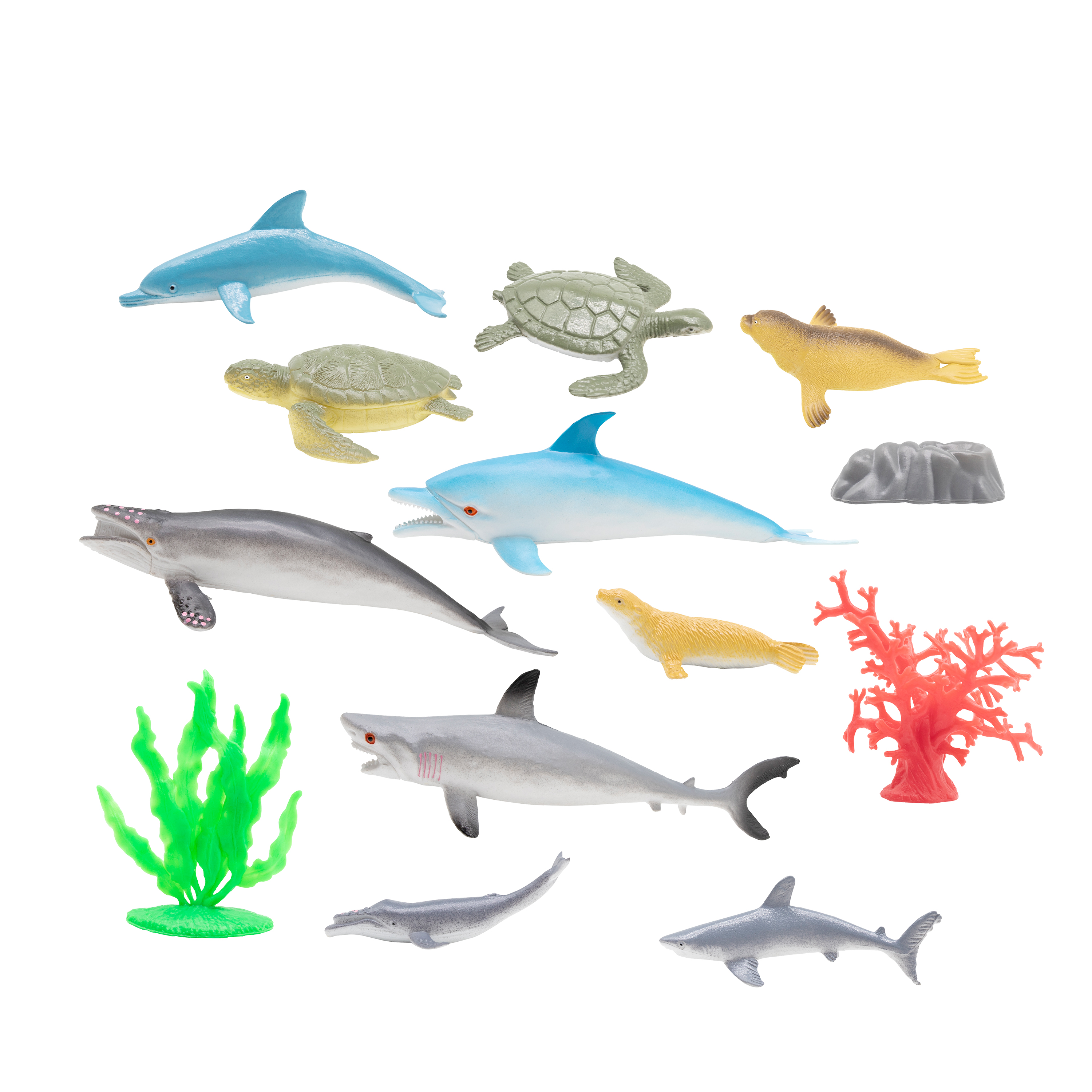 CD83JG5006海洋生物组
