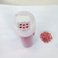 CB1-3MG5015手工DIY金葱粉0.8mm-24色套装-2