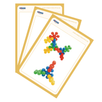 CQ14-QL-005-4中葡萄球-学习卡