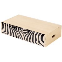 GP1-4220-11幼儿攀爬组斑马平道