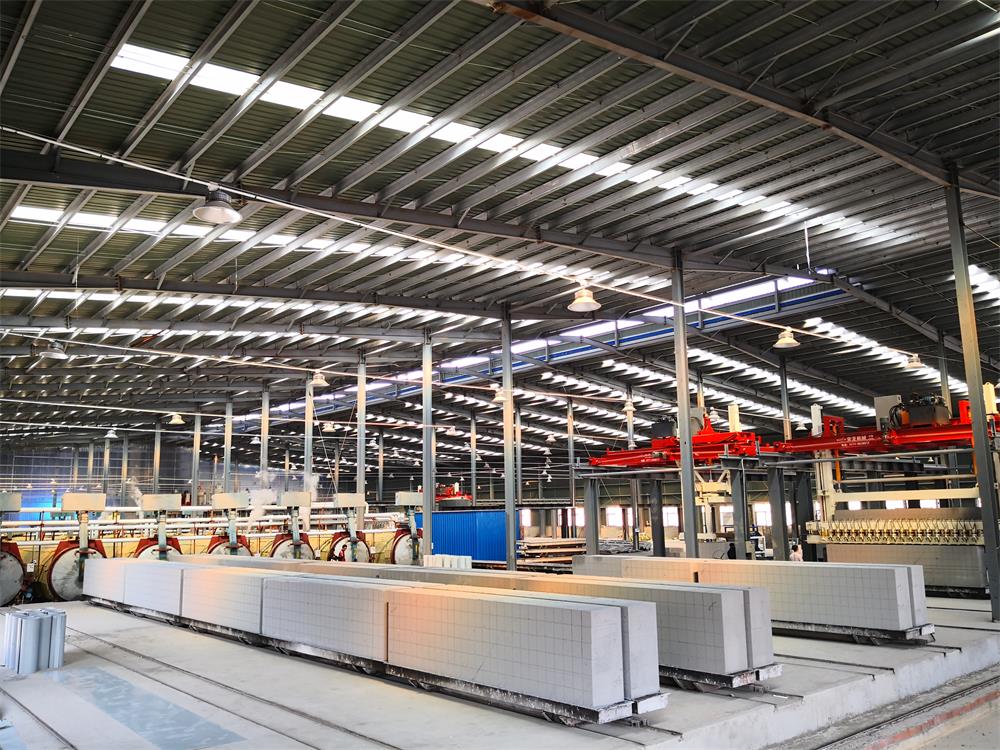 1.国外加气块生产现场-IMG_20191122_140605