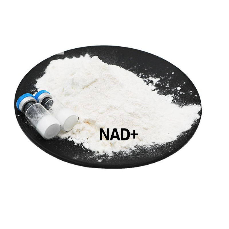 NAD+ High Purity 99% NAD Nicotinamide Adenine Dinucleotide Powder in ...