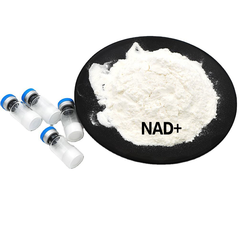 NAD+ High Purity 99% NAD Nicotinamide Adenine Dinucleotide Powder in ...