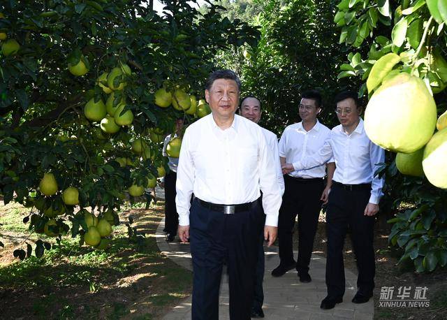 习近平在广东省梅州市考察调研