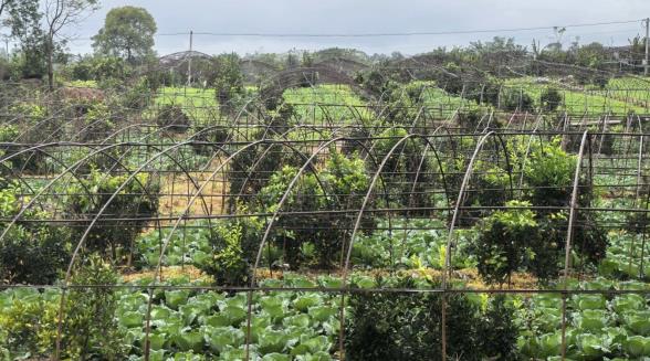 659ba5008447f7eb5ae18e65242cc84f