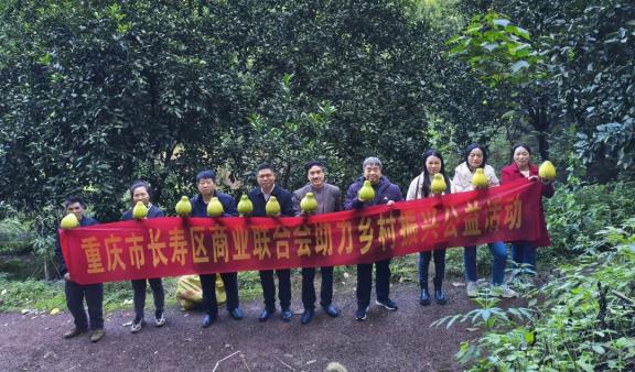 15dda5c4e49cf0bfe18c6c0270e9ee69