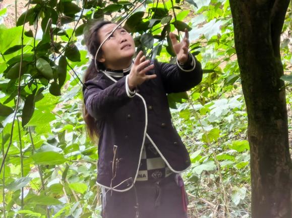 C:/Users/Administrator/Desktop/09d0dd0415e53fcfda6f778ea3891bb8_副本.jpg09d0dd0415e53fcfda6f778ea3891bb8_副本