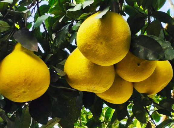 7898857bd6308baac6d8b0f4d091d432