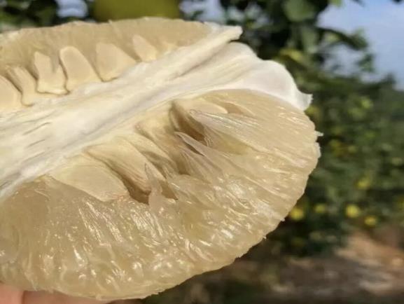 ceac06b48200bcf6495b36a668af8a77