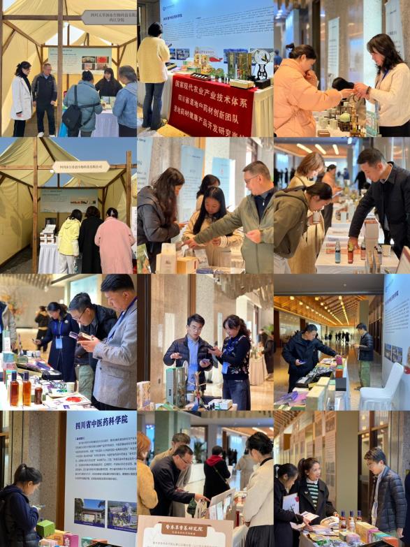 7ad6561f3a91c7195d6f6dd953eb2f3c