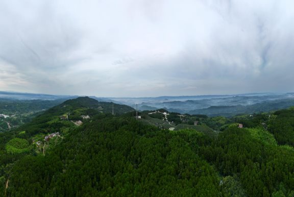 6600660561c72b33f47720455c4e2017
