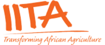 IITA (International Institute Of Tropical Agriculture)
