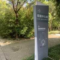 directionsigns8