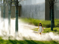 05雾森-2b87a2e06d6fe8b785d403aa8e3a98d