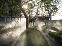 05雾森-8cb459b9936605bc3fccea92ceacd2a