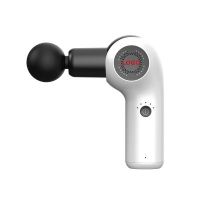 grassfit massage gun