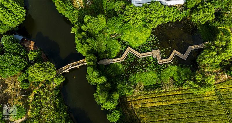 碧云花海是国内最大的杜鹃花生产展示基地