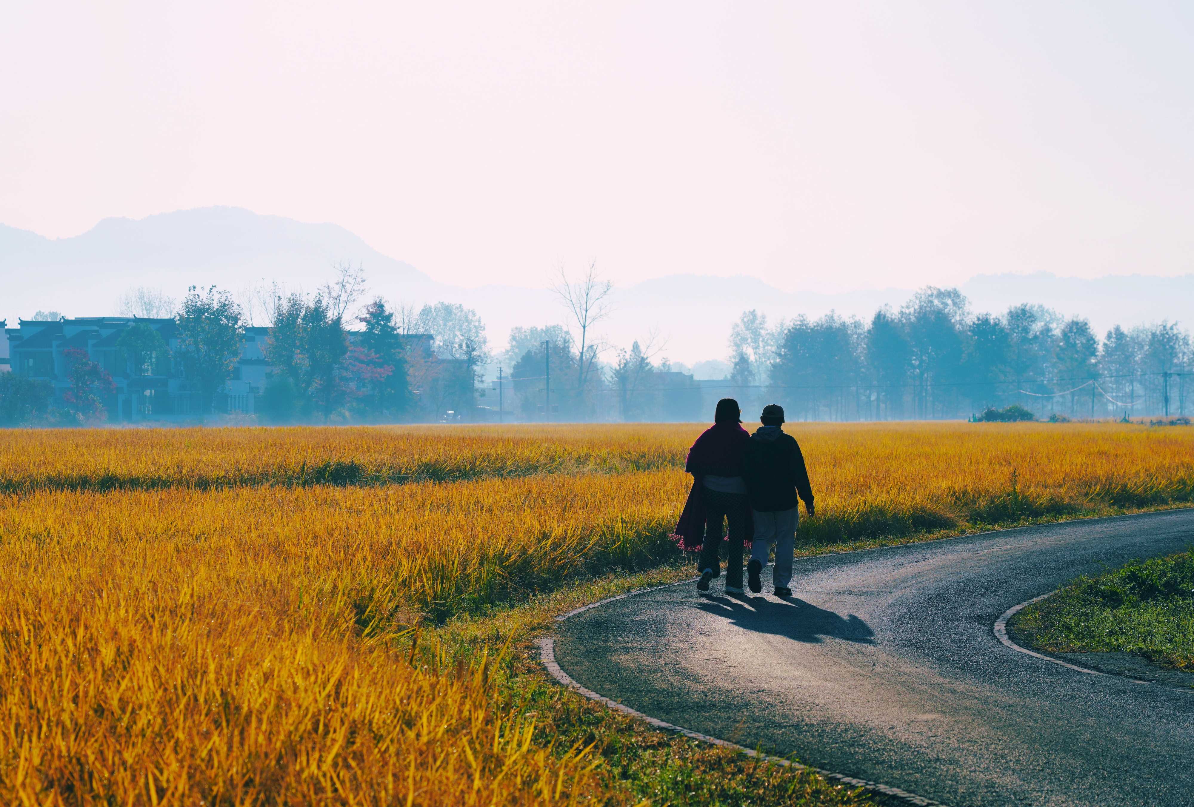 徽州古村落之一，拥有丰富的历史文化和美丽的自然风光 。村里大量明清时期的古民居和祠堂。来这里放慢脚步，尽情享受一段不被打扰的田园时光。