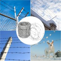 BarbedWire-barbedWire3