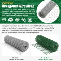 hexagonalwiremesh2