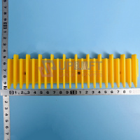 UP000954借黄边框-中-5