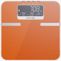 MS-9200BodyfatScale