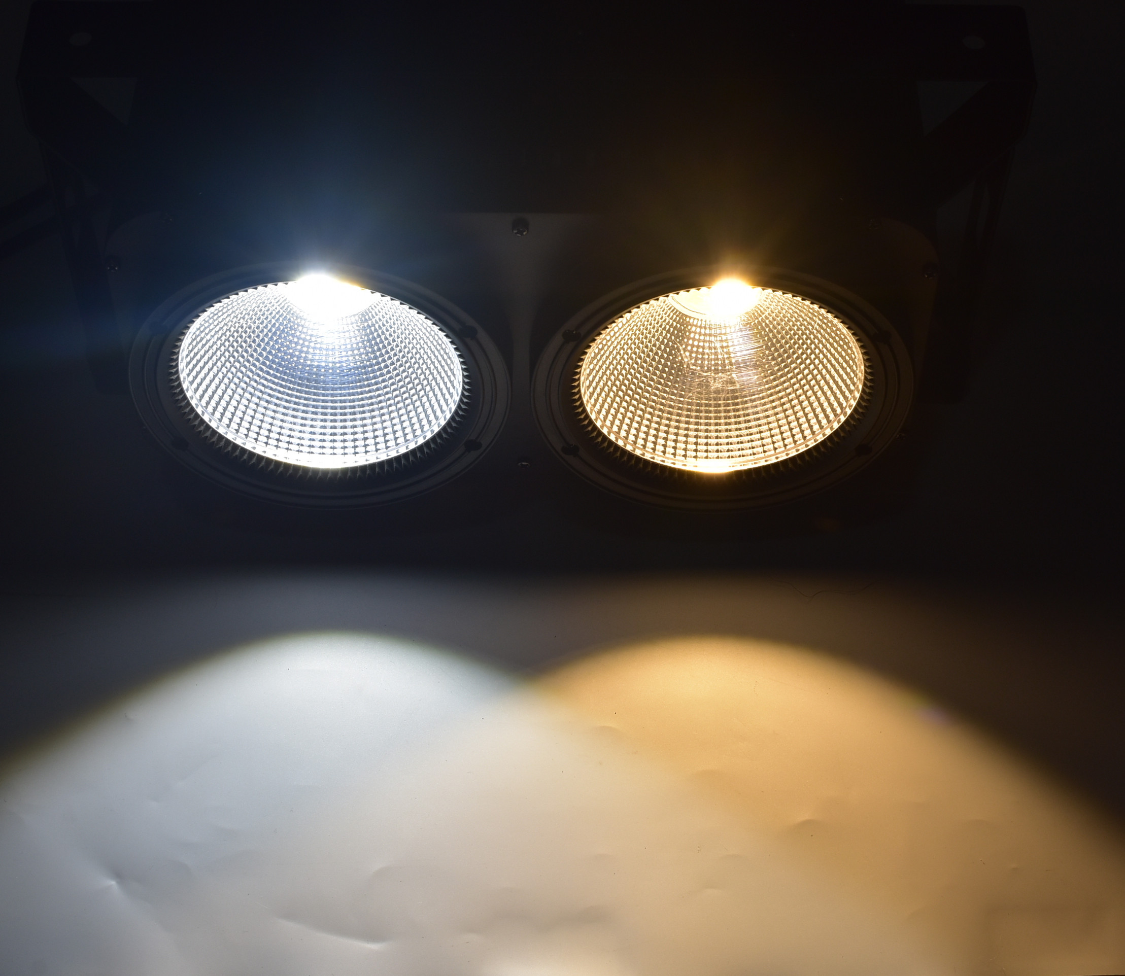 DSC_2519