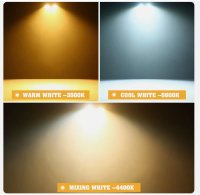 cob6led-1