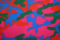 迷彩印花-IMG_7043_new