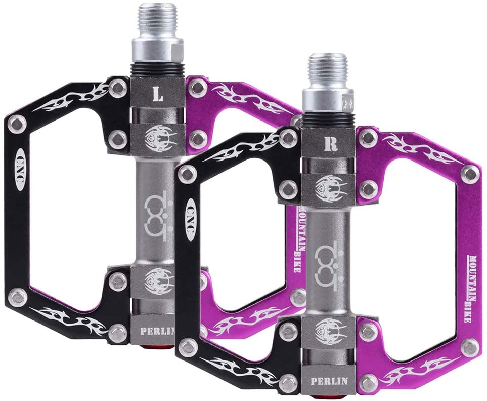 61ANx7yc3HL._AC_SL1000_