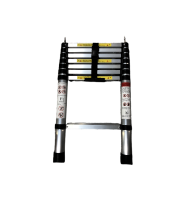 ladder