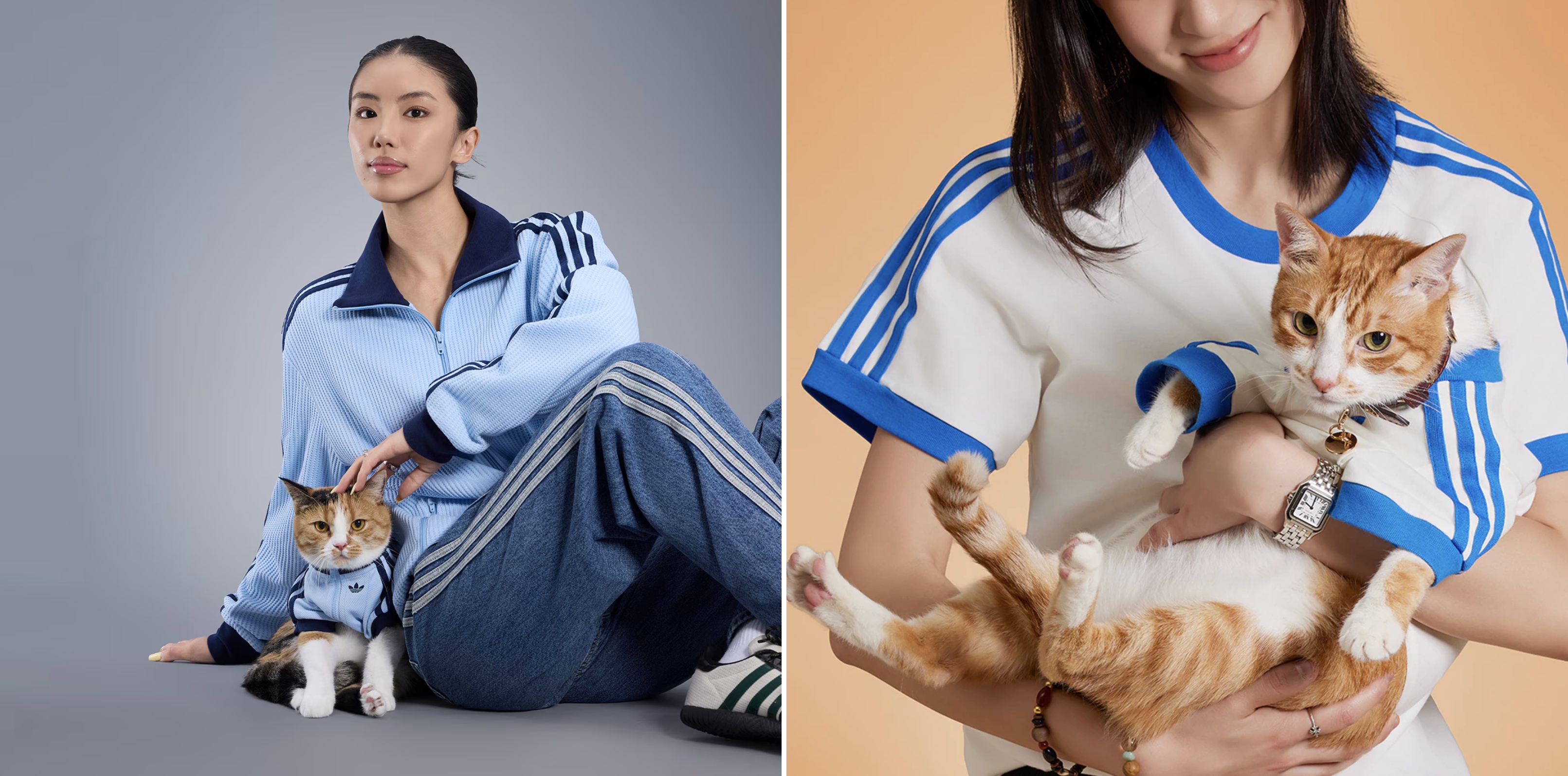 Adidas Originals’ Pet Collection | Because Even Dogs Deserve Street ...