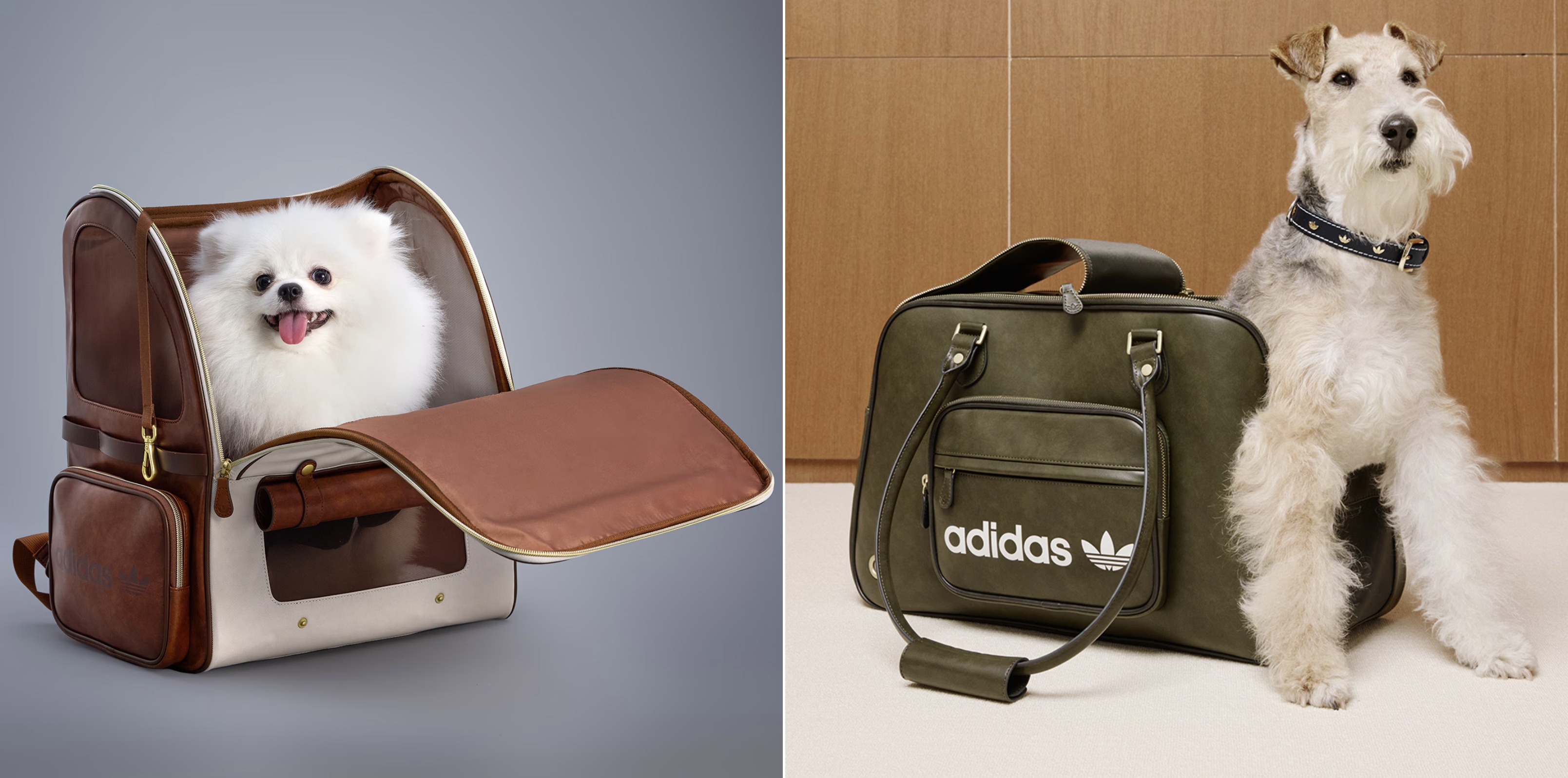 Adidas Originals’ Pet Collection | Because Even Dogs Deserve Street ...