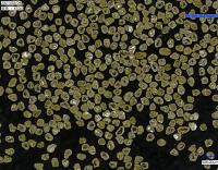 SCDZ-整形料-近球形